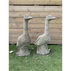 Pair of cast stone squatting garden geese, H60, W25, D45 - THIS LOT IS TO BE COLLECTED BY APPOINTMENT FROM DUGGLEBY STORAGE, GREAT HILL, EASTFIELD, SCARBOROUGH, YO11 3TX