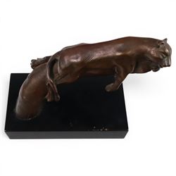 Bronze modelled as a cougar on a branch upon a rectangular wooden plinth, H24cm