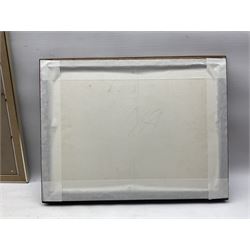 Arthur John Trevor Briscoe (British 1873-1943): 'Burning Off', limited edition etching signed and numbered 39/75, titled and dated '30 in plate 19cm x 29.5cm 