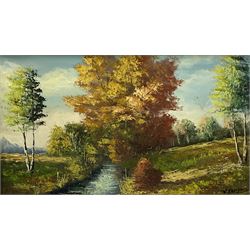 English School (20th century): Autumnal River Scene, oil on canvas indistinctly signed 39cm x 69cm