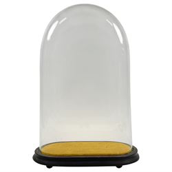Glass dome on wooden base, dome H39cm