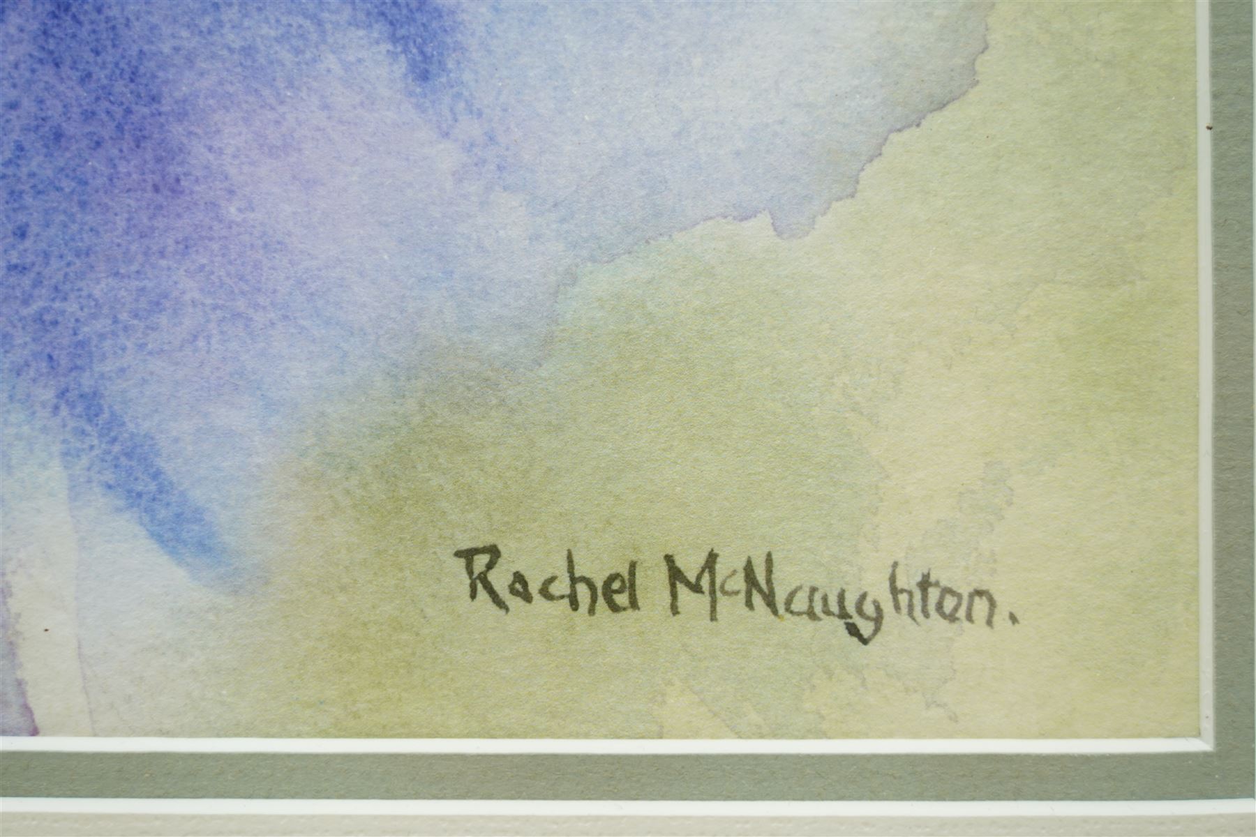 Rachel McNaughton (British Contemporary): Still Life of Purple Flowers, watercolour signed 49cm x 36cm 
