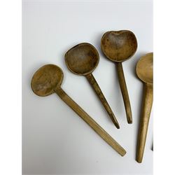Group of beech and sycamore Welsh Cowl and other spoons, largest example L21.5cm