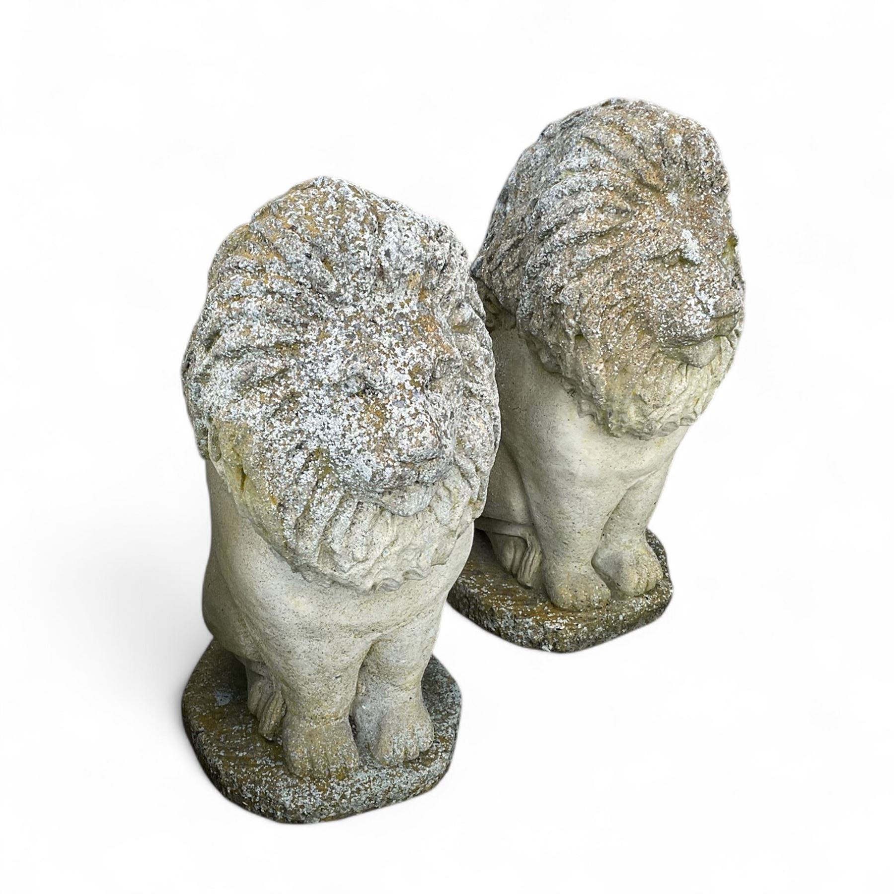 Pair of cast stone lion statues on plinths