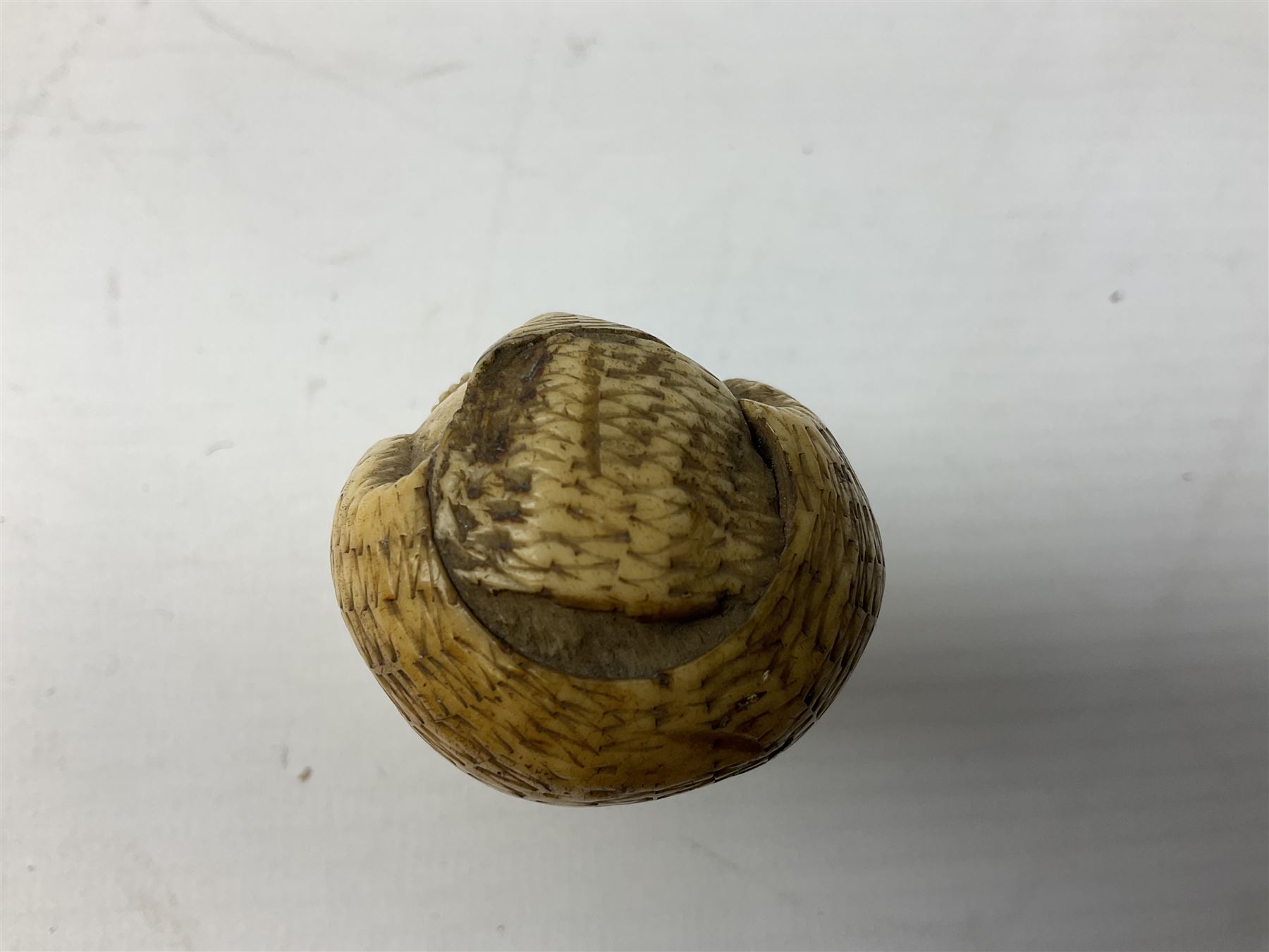 19th century carved ivory walking cane handle, modelled as the head of a greyhound with inset glass eyes, together with a further 19th century ivory example, modelled as a caricature of a gentleman's head, (2)