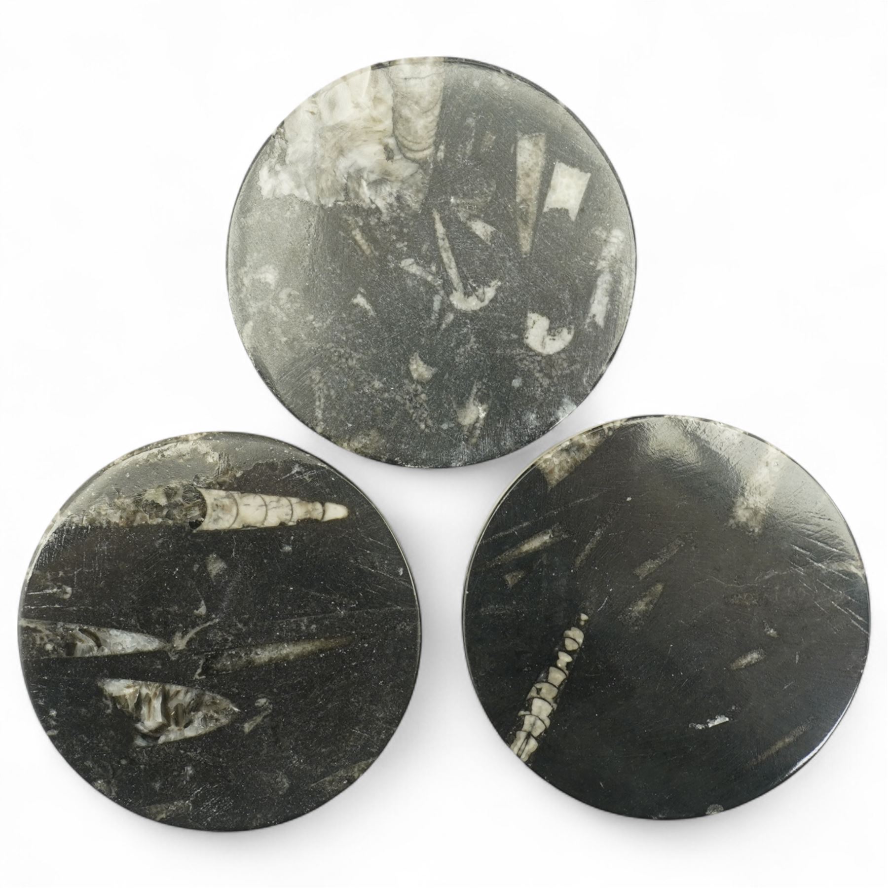 Set of eight coasters with fossil inclusions, W9cm (8)