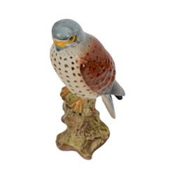 Eleven Beswick bird figures, including Lesser Spotted Woodpecker 2420, Kestrel 316, Lapwing 2416 etc   