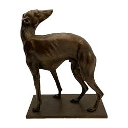 Sally Arnup FRBS, ARCA (1930-2015): Whippet Standing, bronze, signed and numbered VIII/X, upon short rectangular plinth, overall H63cm L49cm W23.5cm 


