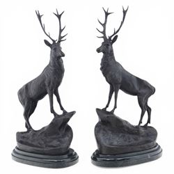 Pair of bronze stags, after Jules Moigniez, modelled in alert stance upon naturalistic bas...