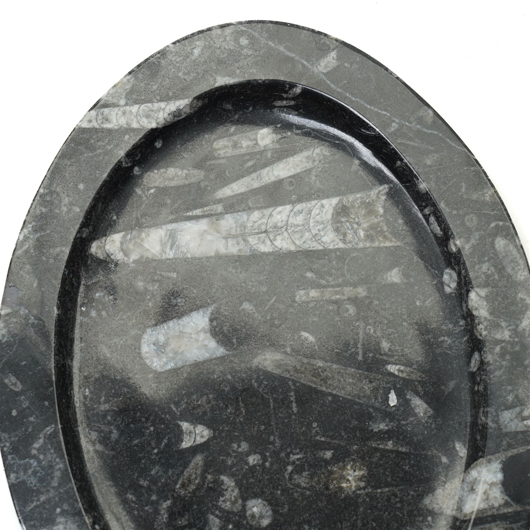 Oval dish with orthoceras inclusions W26cm and a similar smaller dish (2)