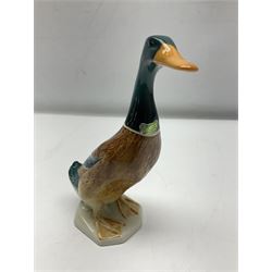 Beswick Champion of Champions Hereford bull figure no 1360, Beswick Norman Thelwell An Angel on Horseback no 2704A, and three other Beswick figures to include Arab Bay horse, Mallard and Comical Duck Family, all with printed or impressed marks beneath, largest H17.5cm