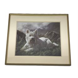 John Trickett (British 1952-): Scottish Terrier 'Highland Pride', limited edition colour print, titled and numbered 471/500 verso 37cm x 44cm