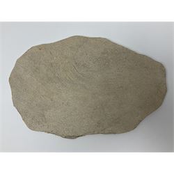 Four fossilised fish (Knightia alta) in a single matrix, age; Eocene period, location; Green River Formation, Wyoming, USA, matrix H25cm, L31cm