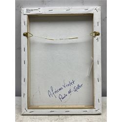 Paula Seller (Yorkshire Contemporary): 'African Violet', acrylic on canvas signed and dated 2019, titled verso 30cm x 22cm