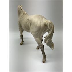 A Royal Doulton limited edition figure, Desert Orchid, 2563/7500, on wooden plinth, H32.5cm, with accompanying certificate. 
