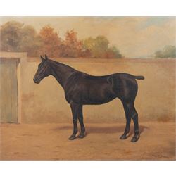 Charles F Davis (British 19th/20th Century): Horse Portraits, pair oils on canvas signed and dated '09 and '05, max 45cm x 55cm (2)