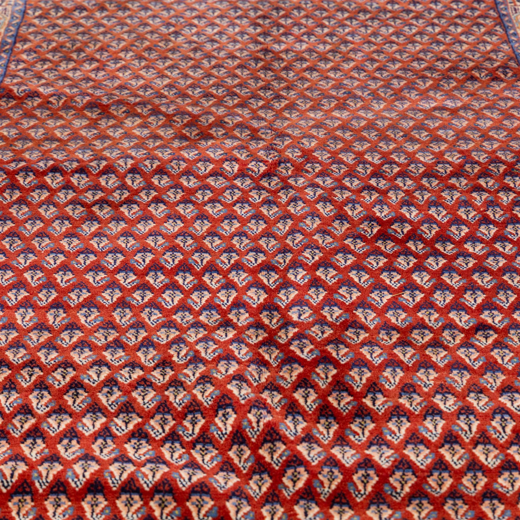 West Persian Saraband (Boteh-Mir) runner madder-red field densely decorated with repeating boteh motifs, arranged in diagonal rows enclosed by a geometric border of stylized motifs, between multiple guard stripes, cotton fringe ends  