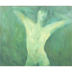Zhijun Ren (Chinese 1948-): Surreal Portraits and Views, seven oils on canvas variously signed and inscribed, larger examples 55cm x 66cm (7)