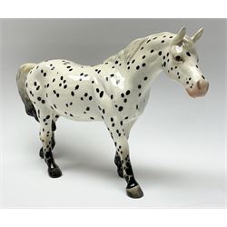A Beswick model of an Appaloosa horse, model no1516, with printed mark beneath, H13.5cm.