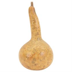 Ammonite cluster, together with Dendrite plaque, green river fossilised fish and other natural science specimens  