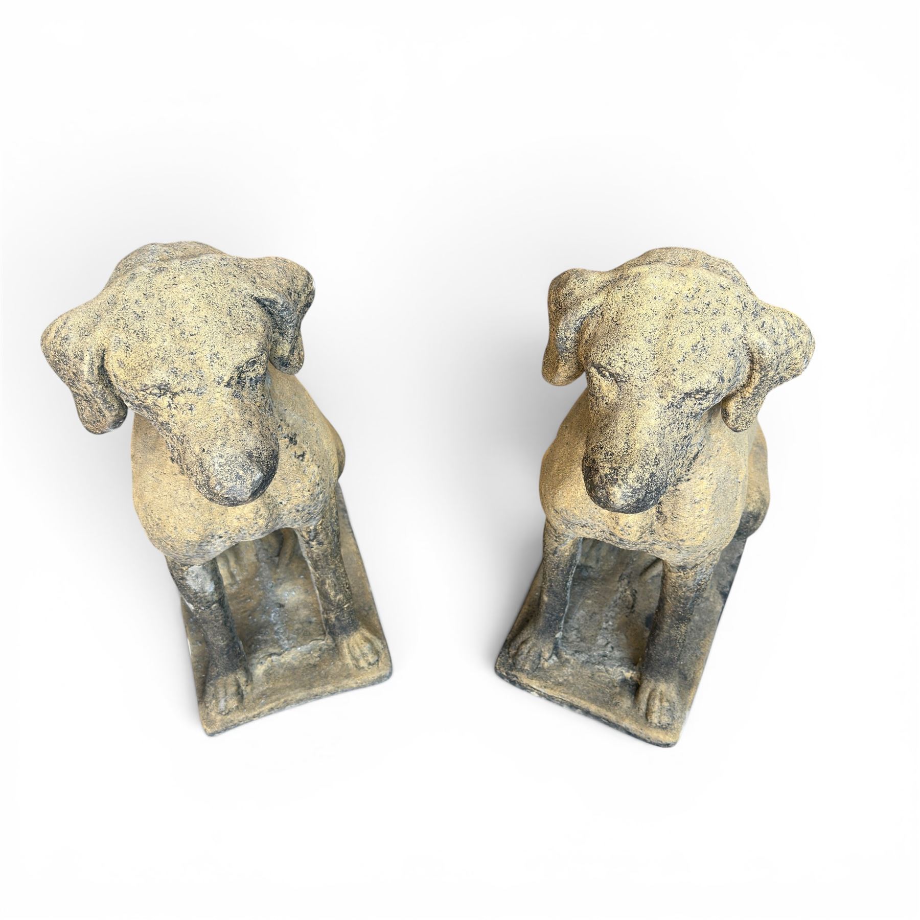 Pair of cast stone hunting pointer dogs in seated poses raised on rectangular bases, in antique weathered finish