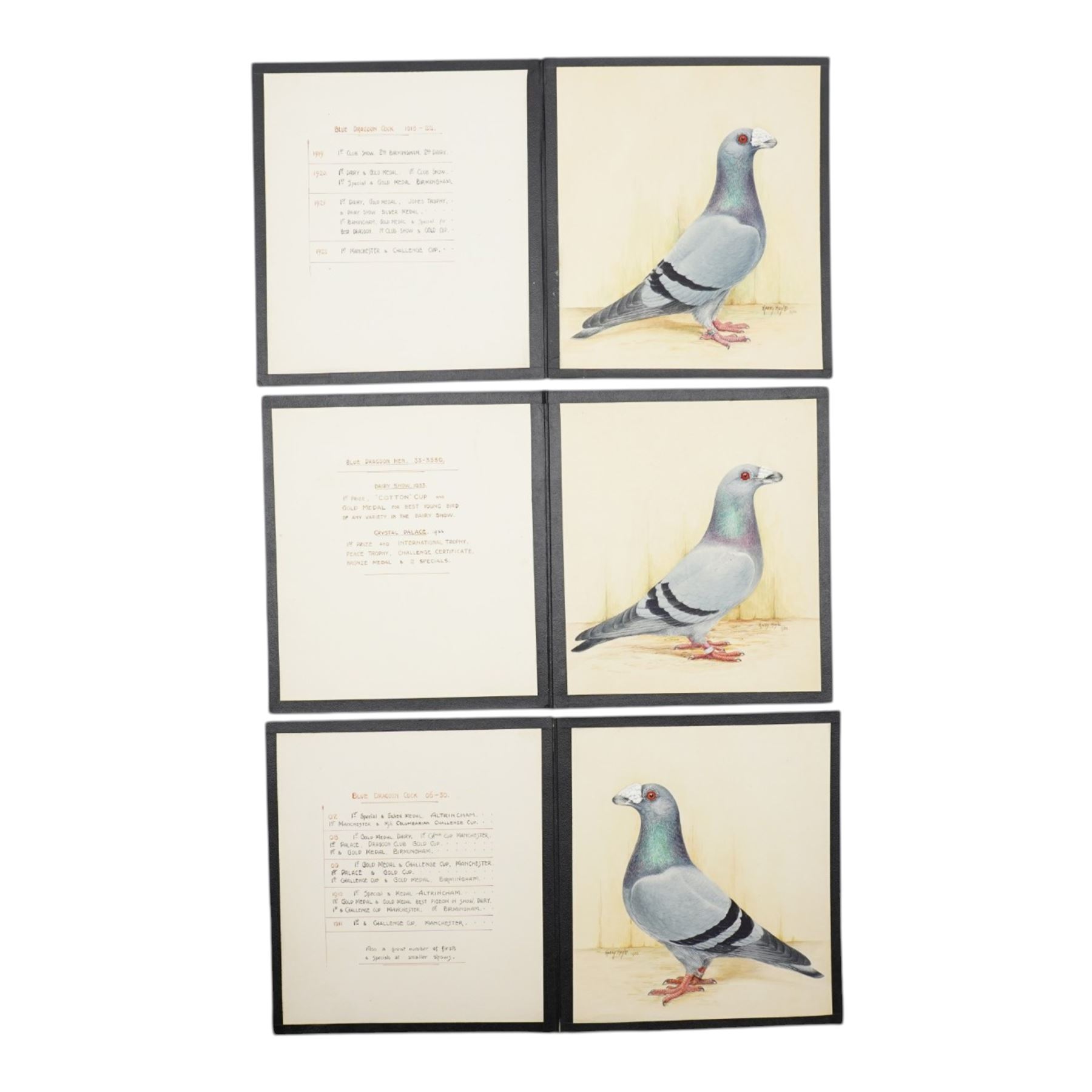 Harry Hoyle (Early 20th Century): Racing Pigeons - 'Blue Dragoon Cock 06-30' 'Blue Dragoon Hen 33-3330' and 'Blue Dragoon Cock 1918-22', set of three pencil and watercolours heightened with white, each signed and dated 1933 or 1934, accompanied with the winning history of each pigeon, each approx. 20.5cm x 18cm (3)