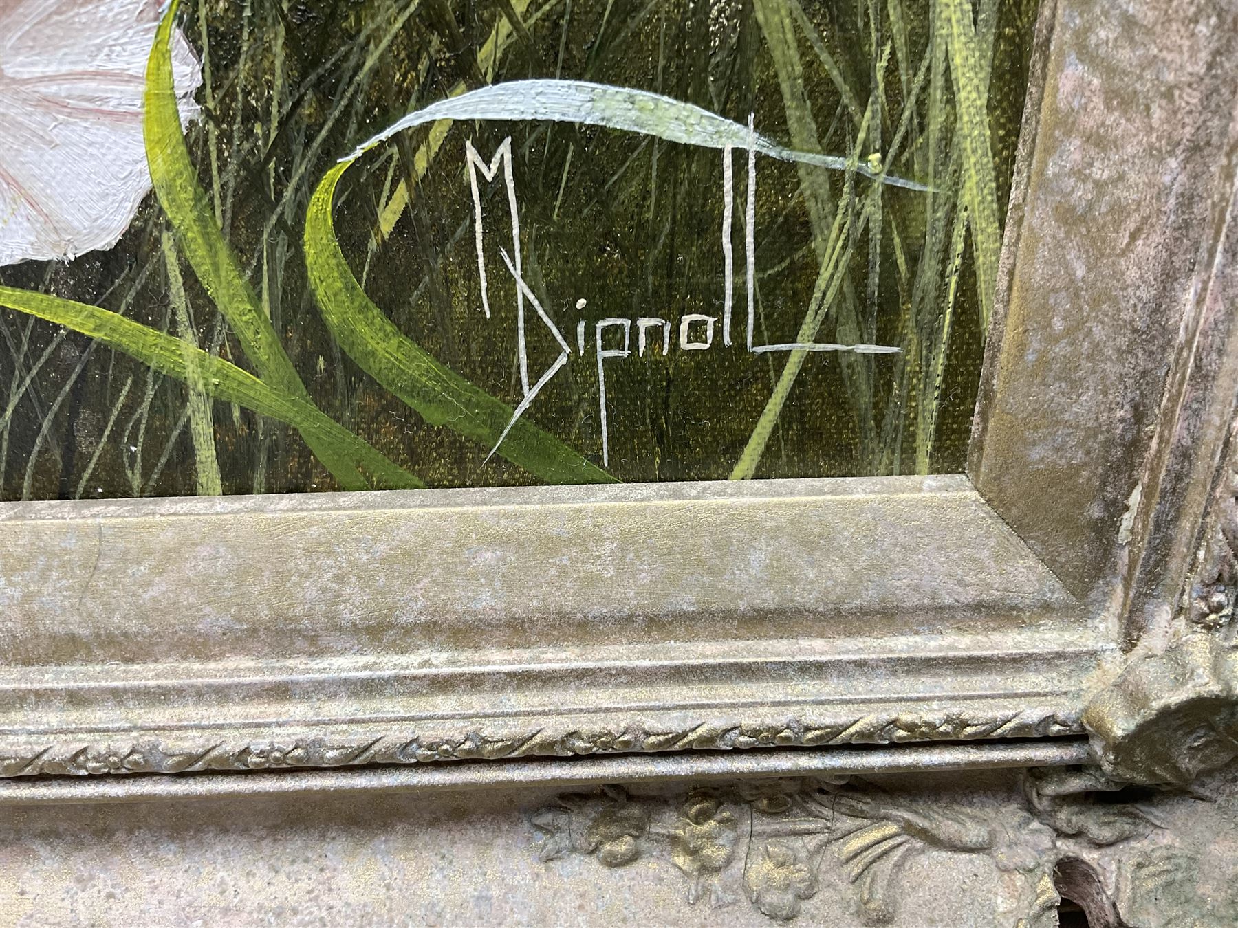 Mary Dipnall (British 1936-): 'Field Bindweed', oil on canvas signed, titled verso 23cm x 29cm 