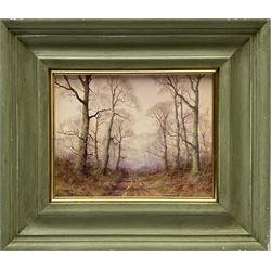 John Caesar Smith (British 1930-): Woodland Track, oil on artist's board signed 19cm x 24cm
