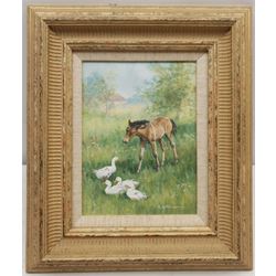 Glynn Williams (British 1955-): 'Foal and geese', oil on board signed, dated '93 on original receipt verso 19cm x 14cm
Provenance: with Hibbert Bros. Sheffield