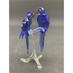 Five Swarovski Crystal bird figures, comprising pair of kingfishers, pair of coloured Budgerigar, pair of parakeets, pair of budgerigar and pair of blue tits 