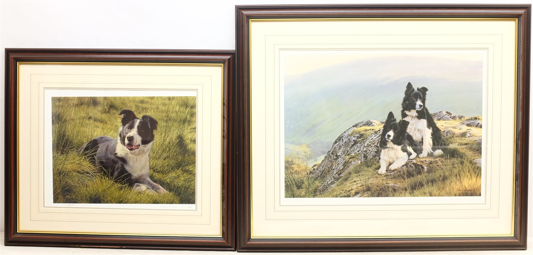Steven Townsend (British 1955-): Sheepdogs, two limited edition colour prints signed and numbered in pencil with Northern Editions blindstamp, max 42cm x 56cm (2)