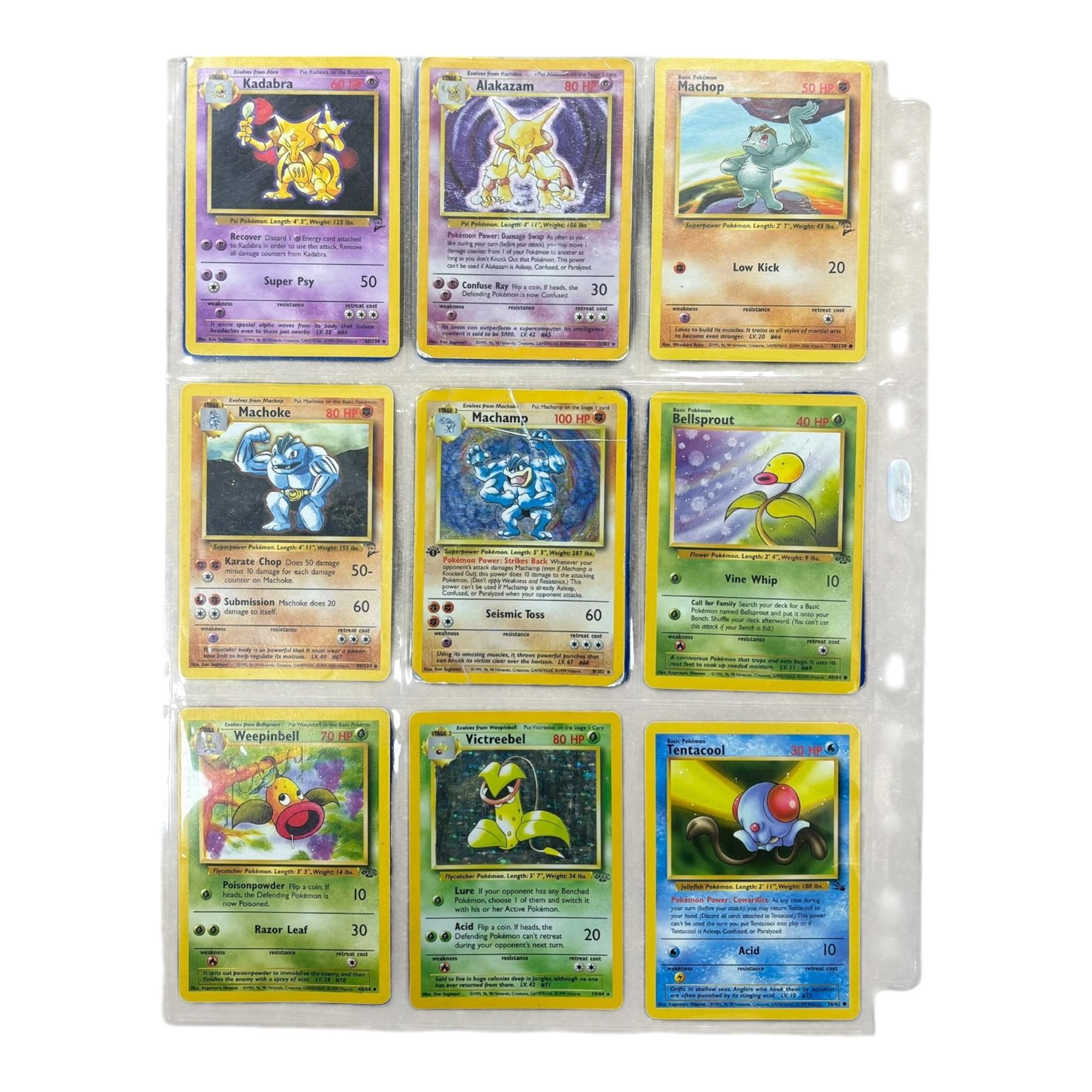 Collection of mainly vintage Pokemon cards including Charizard Base Set Holographic number 4/102 and two Ancient Mew 2000 promo cards, some housed within plastic wallets and some loose