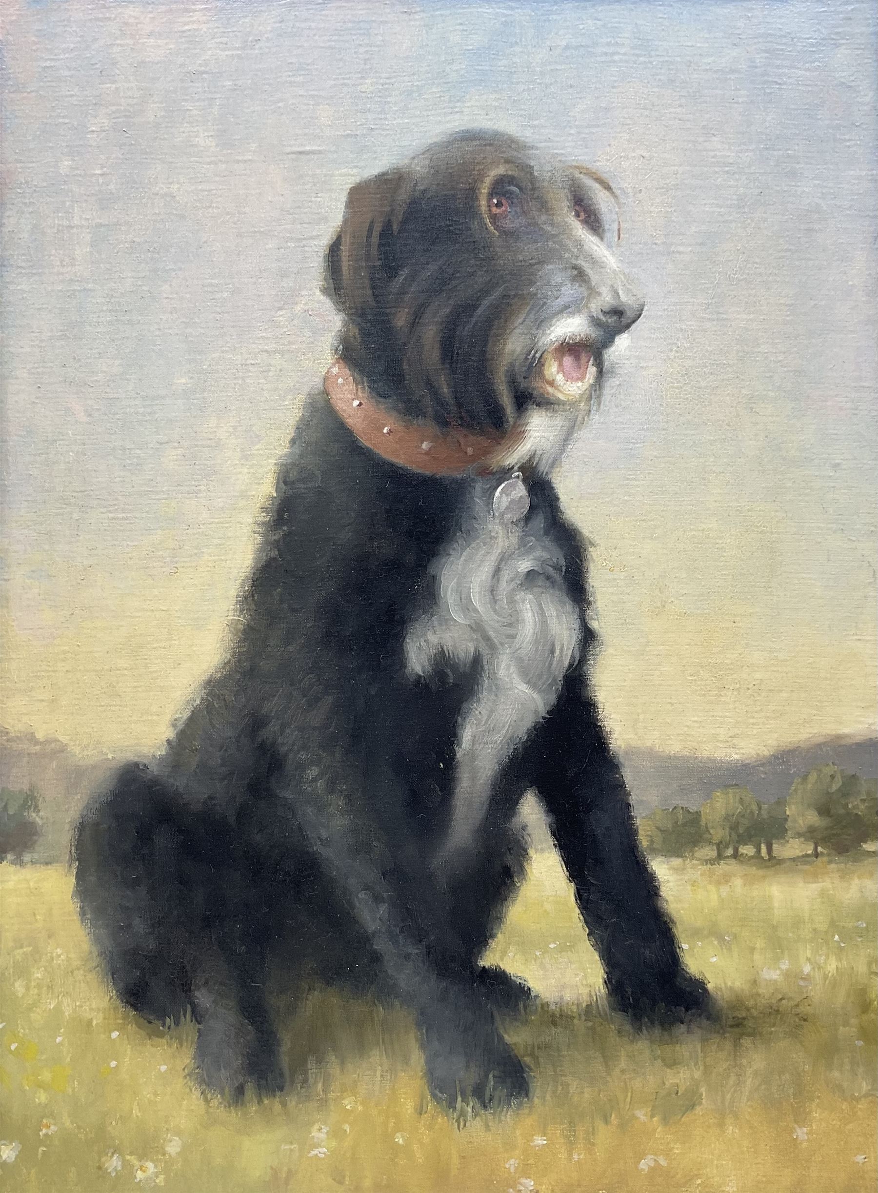 Jon Peaty (British 1914-1991): 'Sir George' - Portrait of a Dog, oil on canvas unsigned, titled verso with artist's studio label 60cm x 44cm