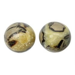 Pair of septarian spheres, polished, with a calcite centre and argonite/siderite lines within limestone rock, D6cm