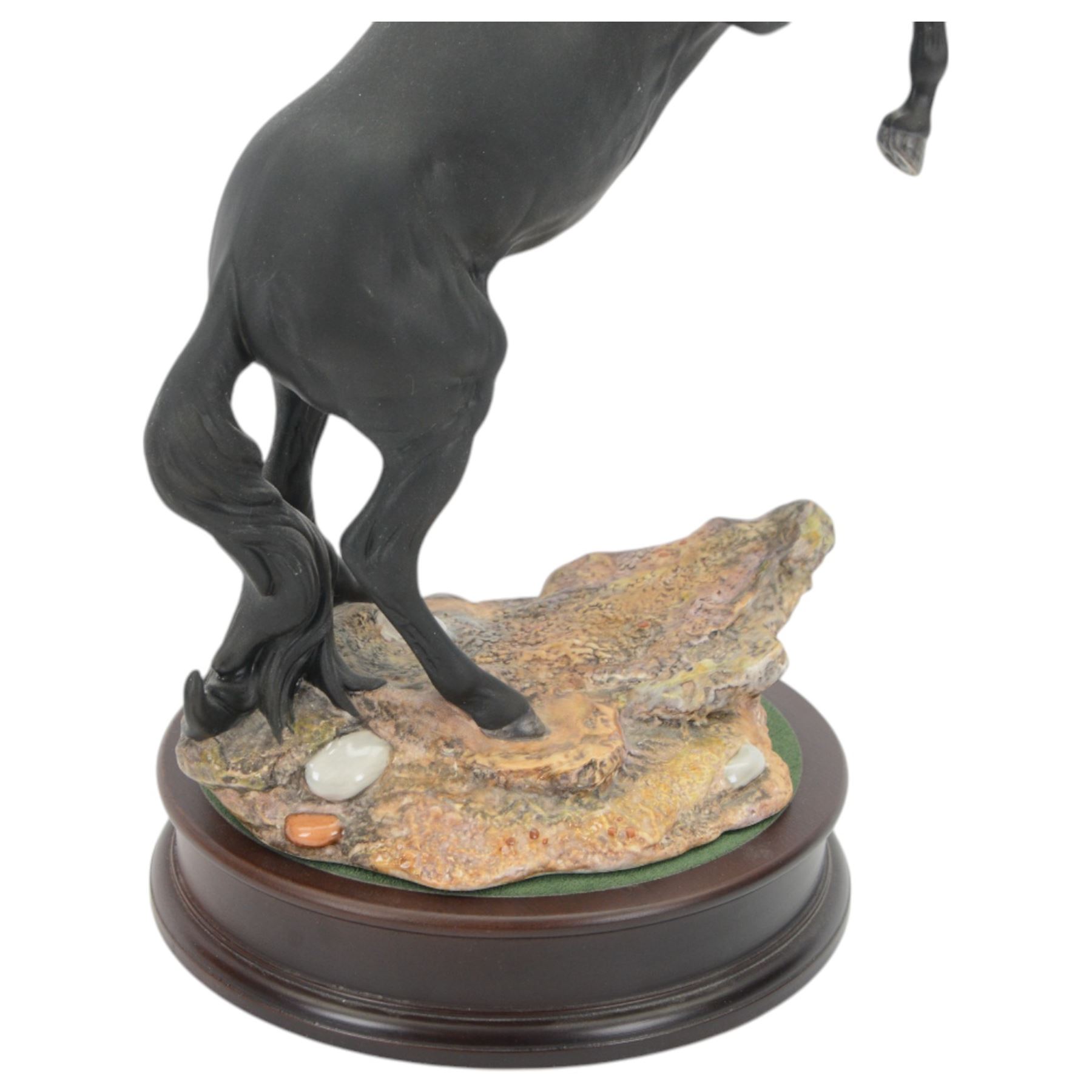 Beswick Cancara The Black Horse, designed by J. G. Tongue, modelled rearing horse on a naturalistic stony ground, upon a circular plinth with engraved title plaque, with certificate and in original box, H46cm 