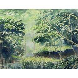 Richard Pottas (Northern British Contemporary): 'A Study in Green', watercolour signed and dated '95, 51cm x 66cm