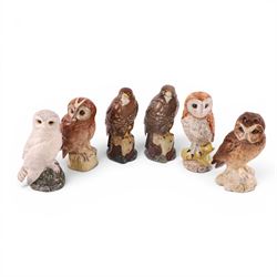Six Beswick whisky decanters, including snowy owl, Tawney owl, Buzzard etc  
