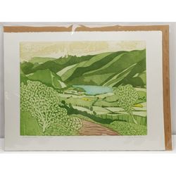 John Brunsdon (British 1933-2014): 'Ennerdale Water', limited edition coloured etching signed titled and numbered 82/150 in pencil 45cm x 60cm with full margins (unframed)