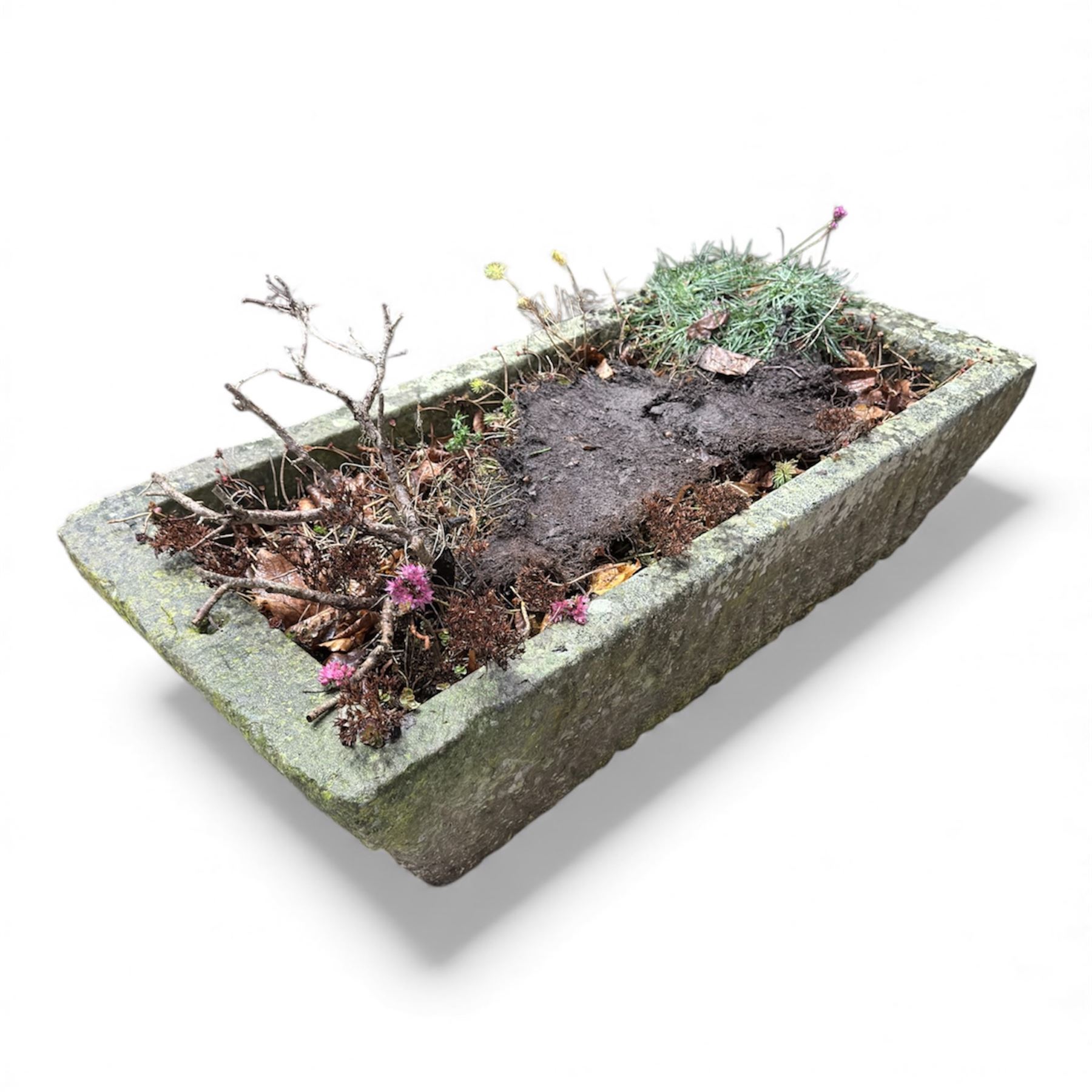 19th century stone trough, planted