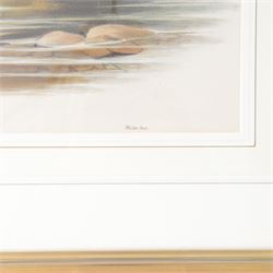 After John Gould (British 1804-1881) and Henry Constantine Richter (British 1821-1902): 'Limosa Melanura' or Black-tailed Godwit, colour lithograph 35cm x 48cm 