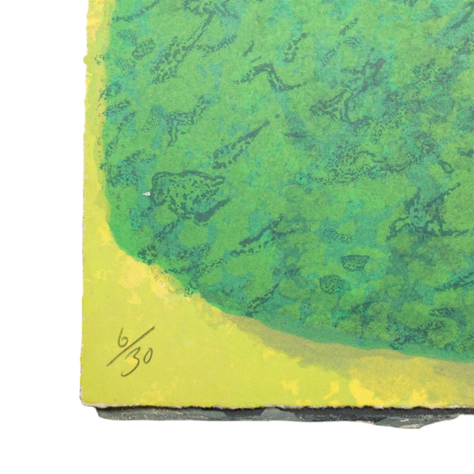 Ivor Abrahams (British 1935-2015): 'Suburban Shrubs I & II', pair lithographs signed dated '72 and numbered AP and 6/30 in pencil 83cm x 62cm (2) (unframed)