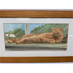 Nina Pickup (British 1947-), watercolours, Ginger cat, overall H23.5cm x 44.5cm, together with another watercolour by Len Greenhalgh (20th century), 'Ladies Day', overall H33.5cm 43.5cm