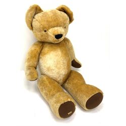Very large Merrythought teddy bear with swivel jointed head, applied eyes, vertically stitched nose and mouth and jointed limbs with brown felt paw pads H50.5