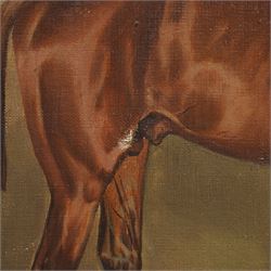 John Charles Tunnard (British 1873-1960): Horse Portrait of Chestnut Thoroughbred 'Malchus' in Stable, oil on canvas signed 1895, 34cm x 44cm