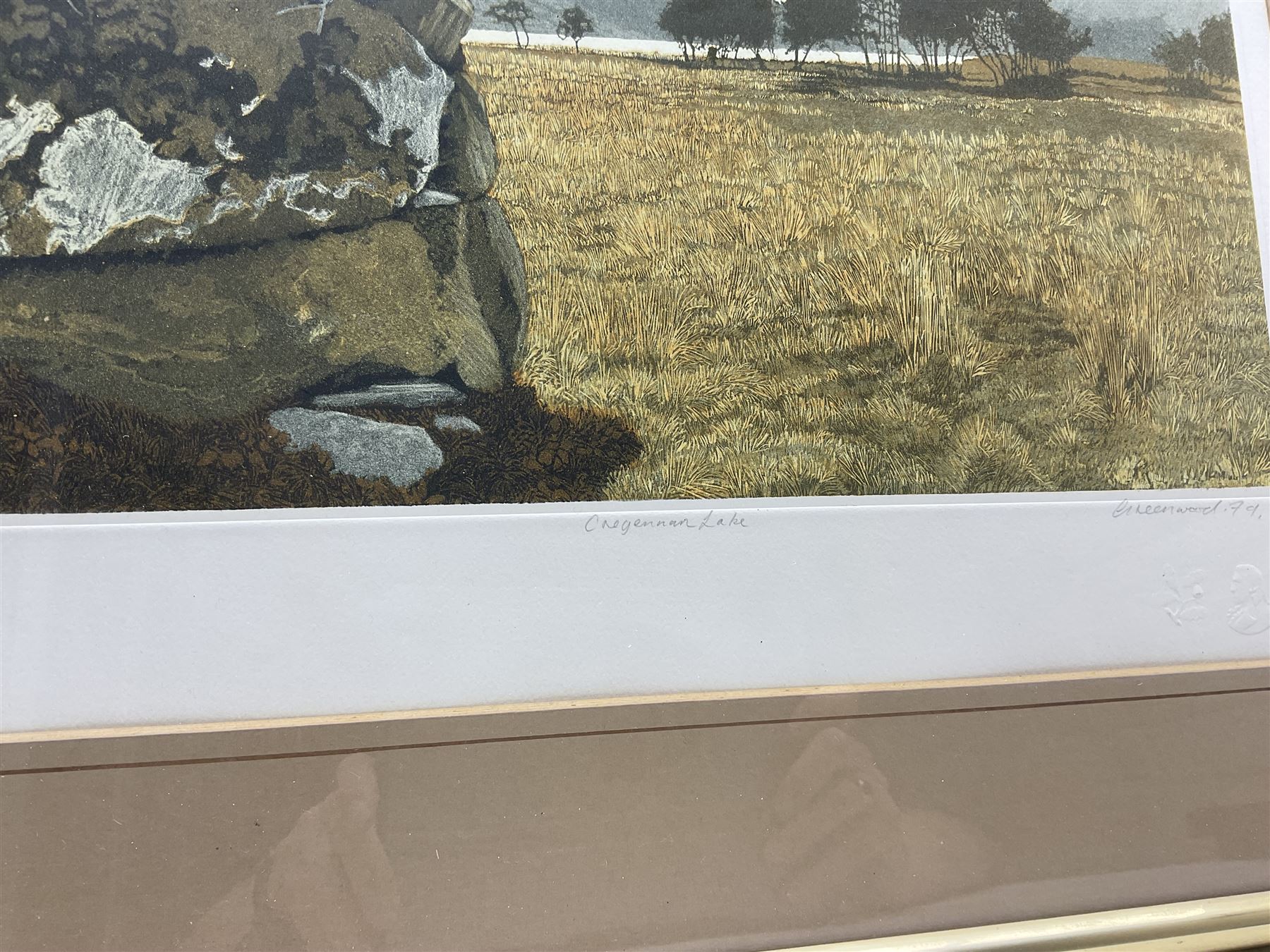 Philip Greenwood (Welsh 1943-): 'Cregennan Lake', artist's proof aquatint signed titled and numbered 5/295 in pencil 36cm x 41cm 