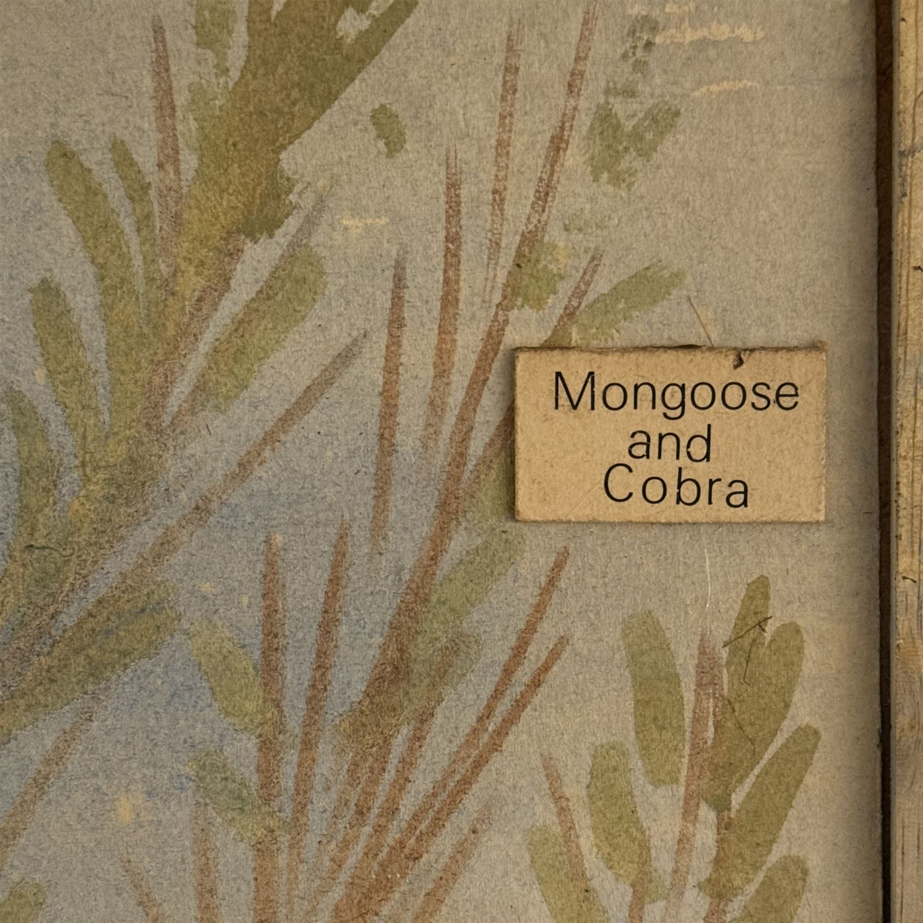 Taxidermy; Cased Mongoose (Herpestidae) fighting an Indian cobras (Naja naja), the cobras entwined around an adult mongoose, in a naturalistic setting of grasses, with a painted backdrop, enclosed within a three pane glass display case, H62cm