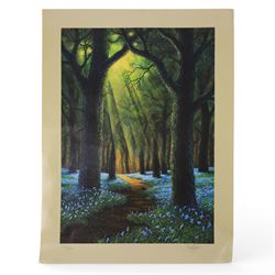 Danny Flynn (British 1958-): digital print of for a 90s TV show that never came to air featuring Danny Flynn in the centre and Arthur C Clarke looking on, two limited edition signed prints of a bluebell wood, two further signed limited edition prints of birds in surreal landscapes and a collection of postcards, three prints framed, largest H34cm

Notes: This item is from the private collection of Arthur C. Clarke's brother.