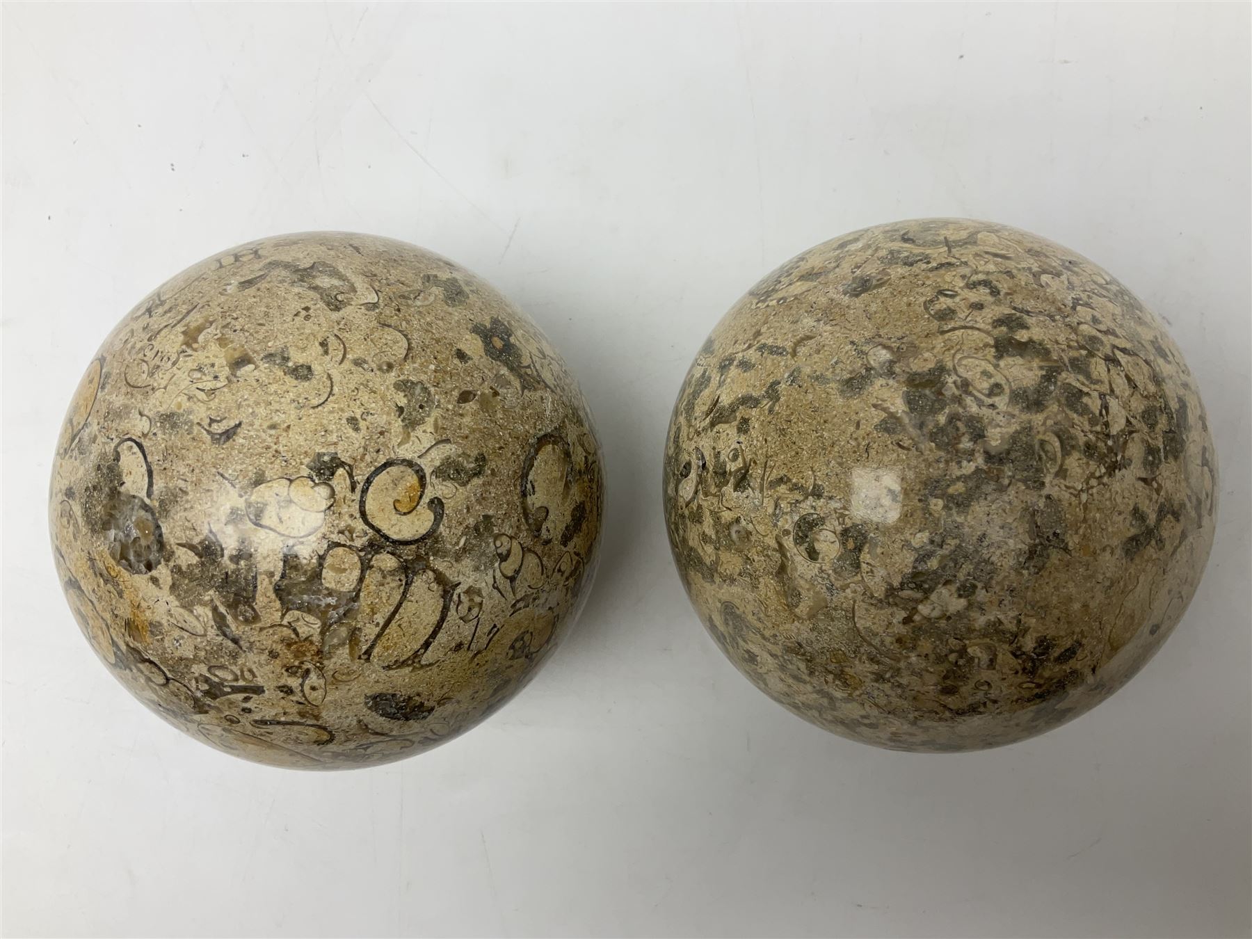 Pair of fossilised coral spheres, D12cm