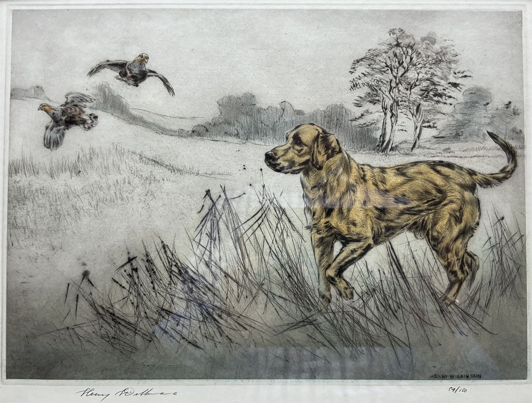 Henry Wilkinson (British 1921-2011): 'Yellow Labrador', coloured drypoint etching signed and numbered 54/150 in pencil 25cm x 34cm