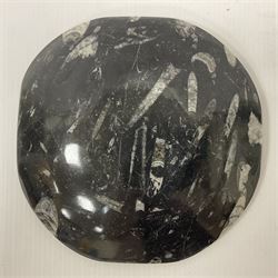 Free form dish with orthoceras and goniatite inclusions, age: Devonian period, location: Morocco, D16cm